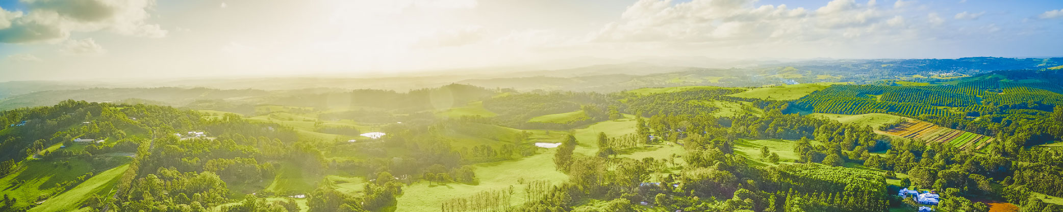 Green landscape